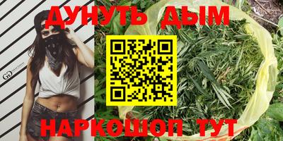 стаф Обь
