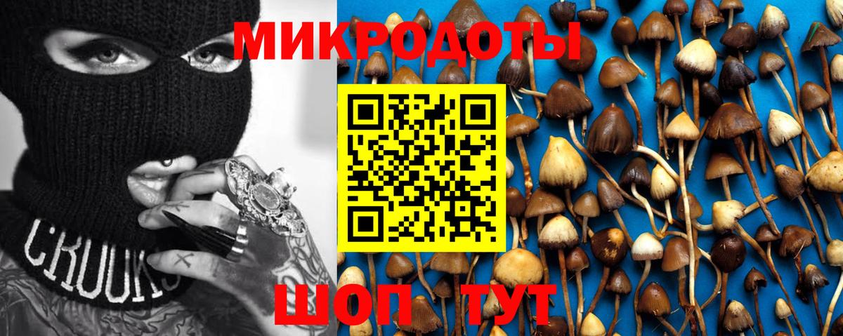 Обнинск  купить закладку  Вход с VPN  Псилоцибиновые грибы Psilocybine cubensis 
